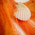 Azur - Experience The Adriatic Guest house Novi Vinodolski