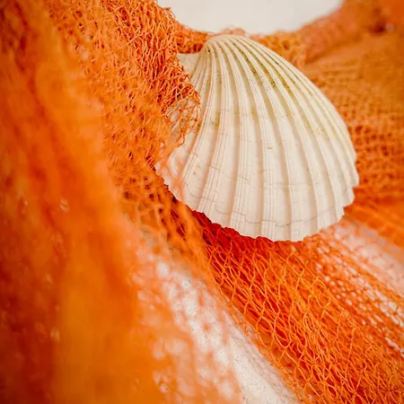 Azur - Experience The Adriatic Pensión Novi Vinodolski