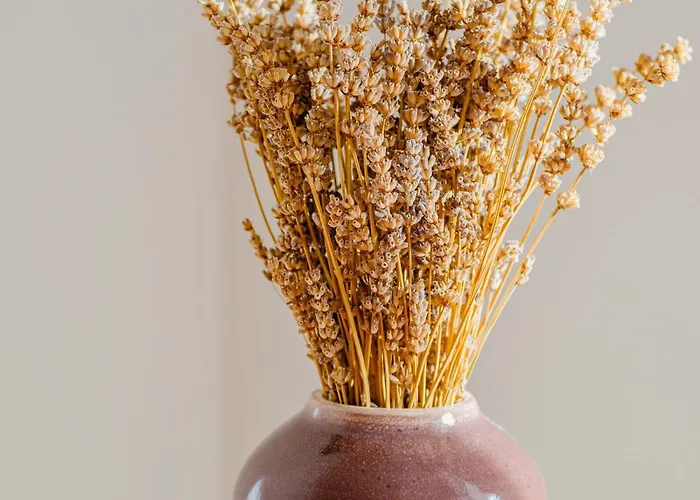 Azur - Experience The Adriatic Pensiune 4*