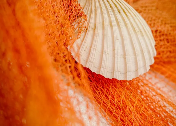 Azur - Experience The Adriatic Pensiune Novi Vinodolski